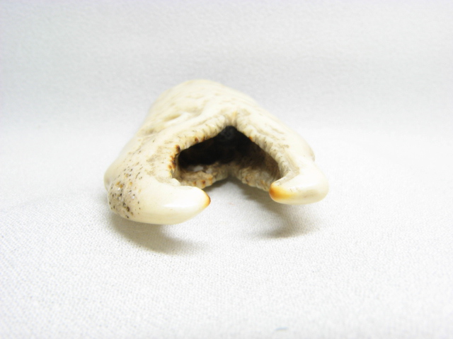 Yahoo!オークション 角牙骨系彫　鮭頭の図　根付　緒締　☆煙草入 根付 印籠 目貫 前金具 緒締☆ -「牙」(根付) (東洋彫刻)の落札相場・落札価格