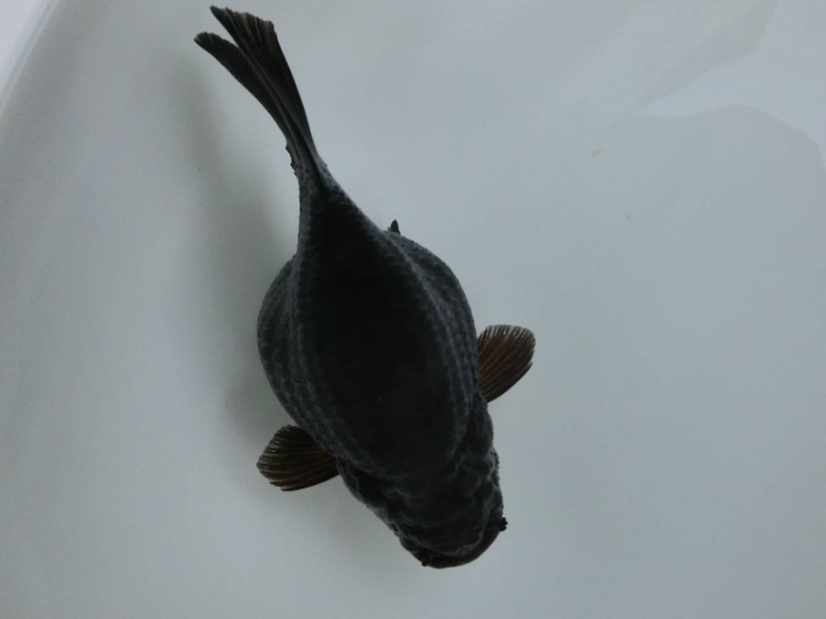 c626127832.2