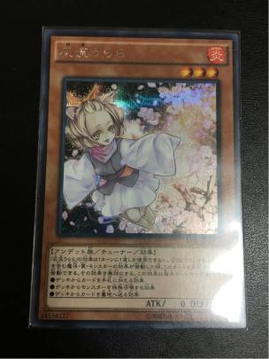 遊戯王 うらら 増殖するG 25th 増殖するG【クォーターセンチュリー