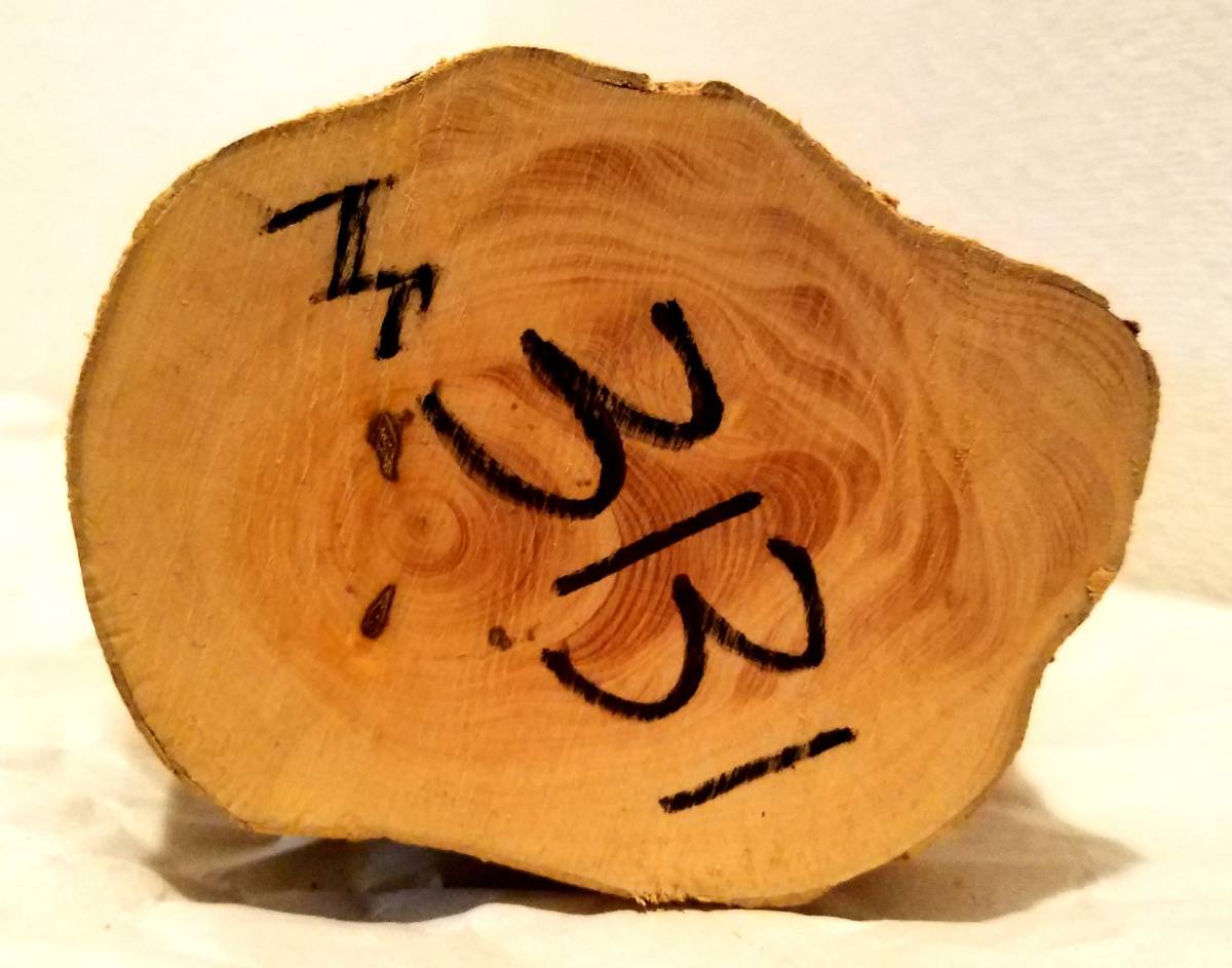 つげ 柘植 ツゲ 高山小葉黄楊中国産 丸太材 原木 彫刻 版画 印材 M3131