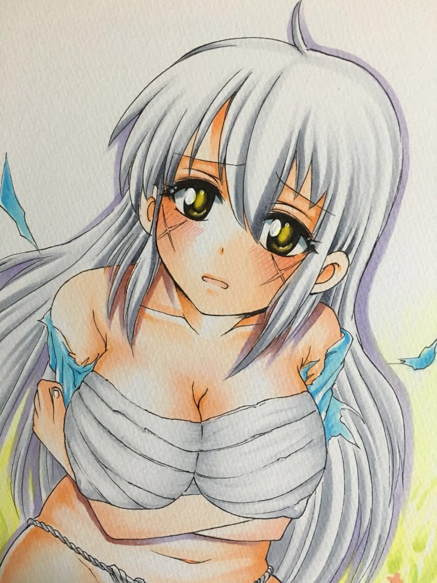 手描きイラスト 戦国乙女 武田シンゲン 完敗 の入札履歴 - 入札者の順位