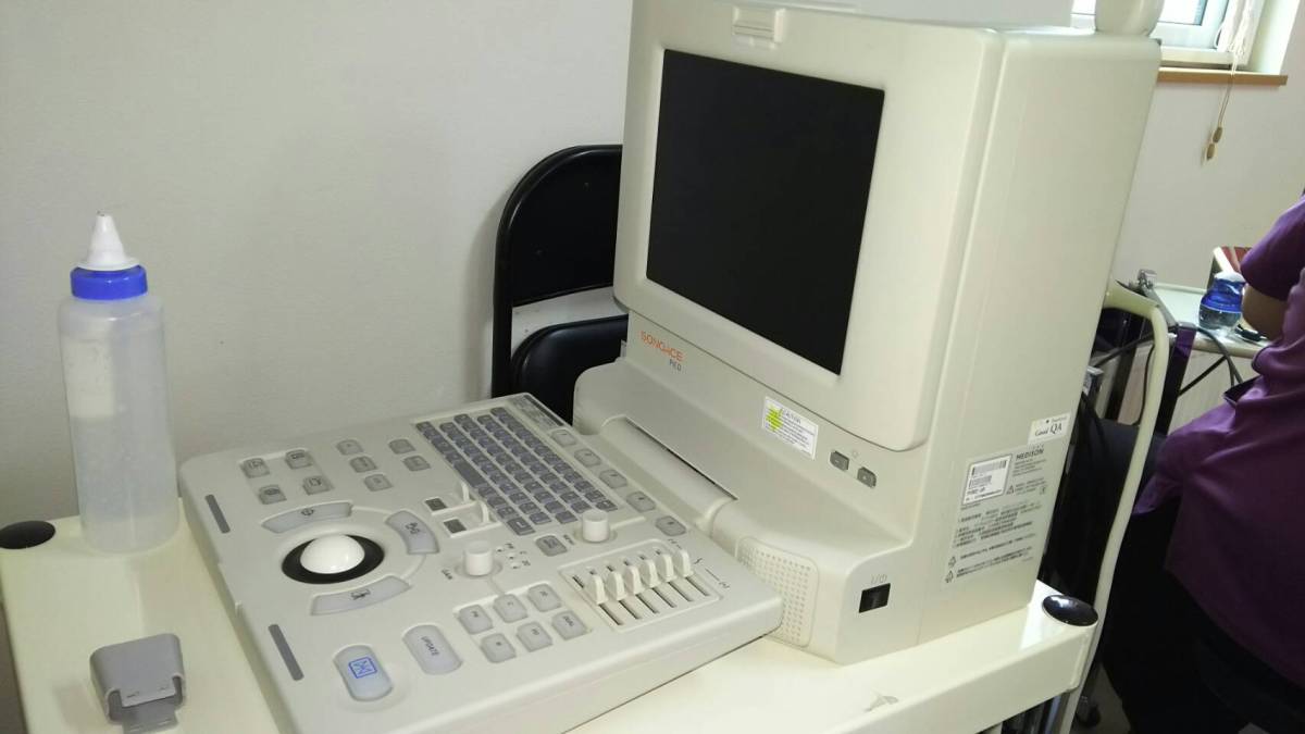 Used メディソン☆SONOACE PICO☆中古○☆超音波画像診断装置☆エコー