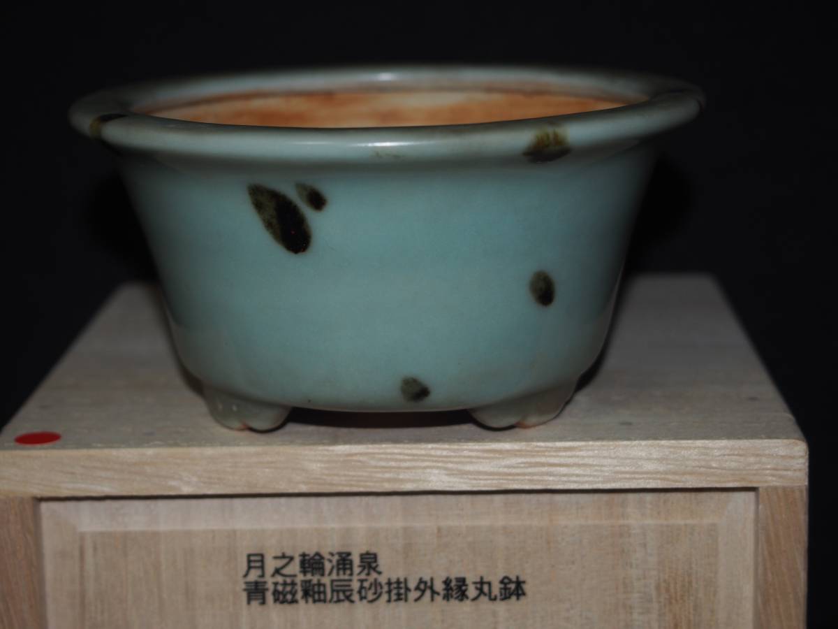 ♪昔の青磁植木鉢　丸型　無キズ　こめです。 日本鉢重鎮【月之輪涌泉】青磁釉辰砂窯変外縁丸鉢・径11.3cm箱付