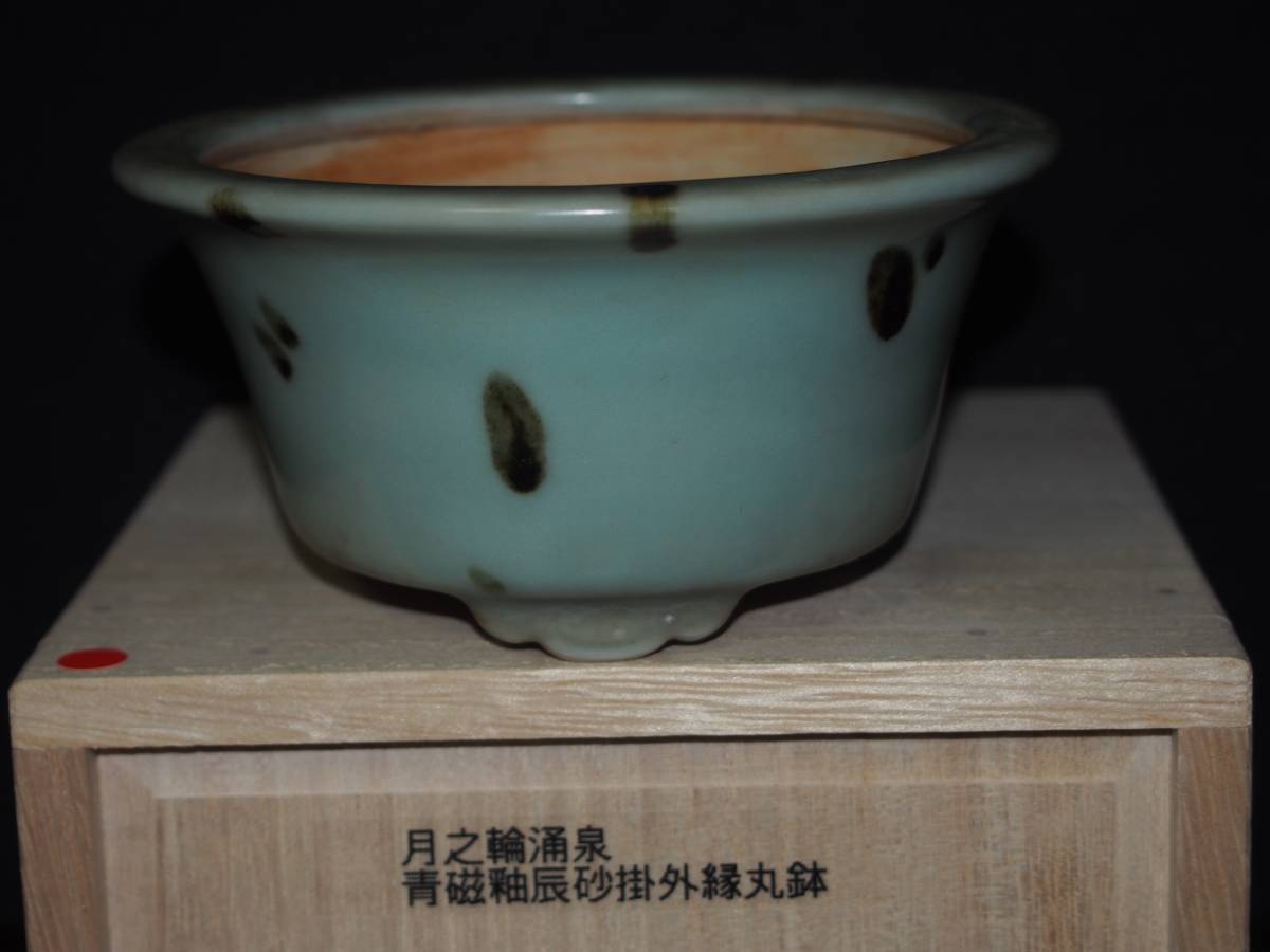 日本鉢重鎮【月之輪涌泉】青磁釉辰砂窯変外縁丸鉢・径11.3cm箱付