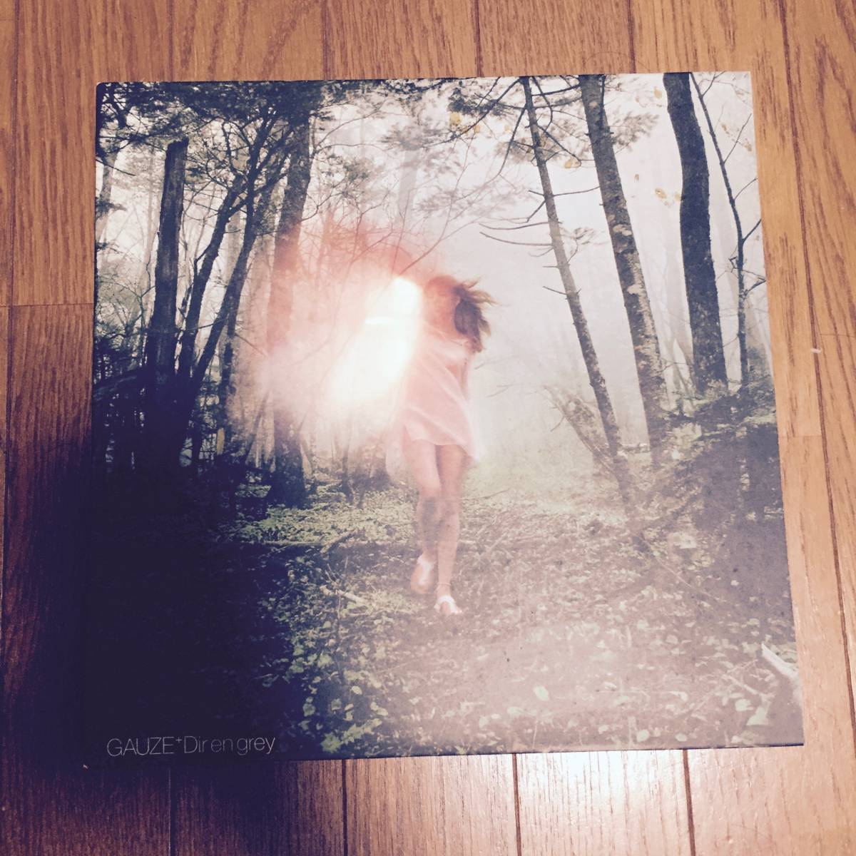 EN DIR GREY : GAUZE Gauze Dir - – 1st | en Vinyl .限定GAUZE Record 