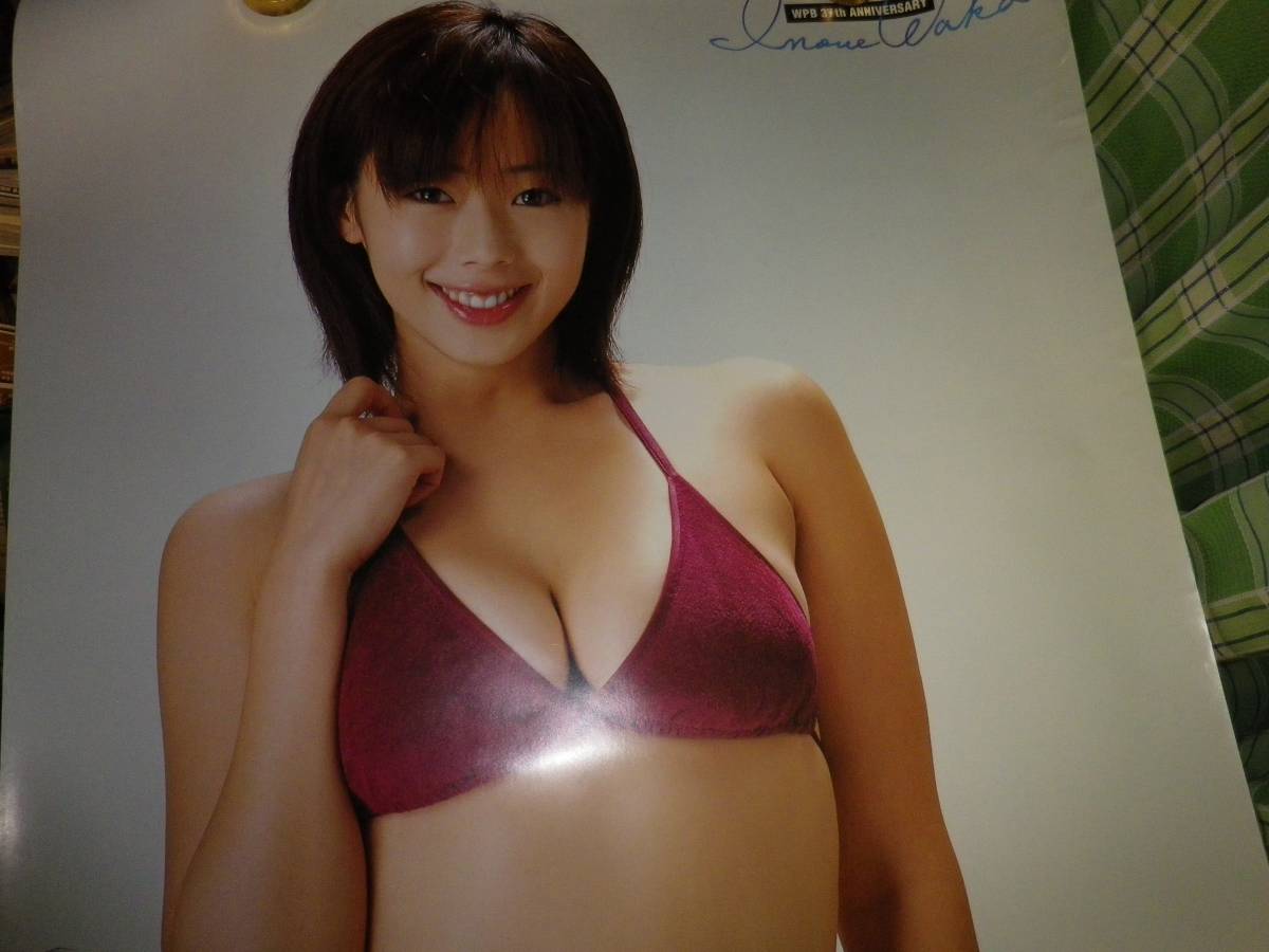 井上和香 等身大ポスター プレイボーイ応募者全員サービス ワカパイが