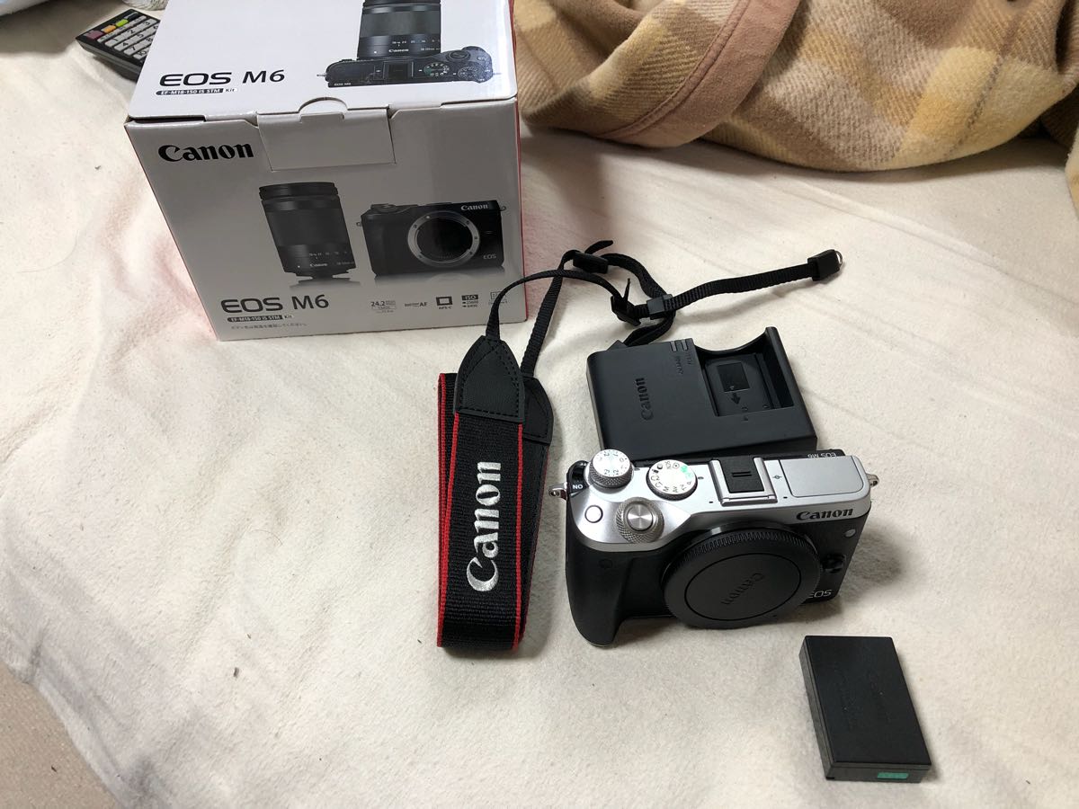 Canon Canon キヤノン EOS M6 ボディのみ シルバー美品送料無料おまけ 