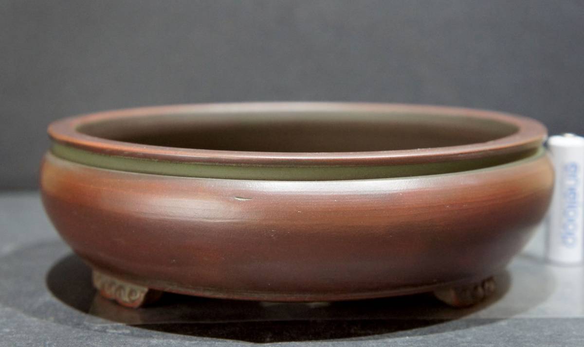 美芸 盆栽鉢 直径19cm 高さ6cm 【公式通販】