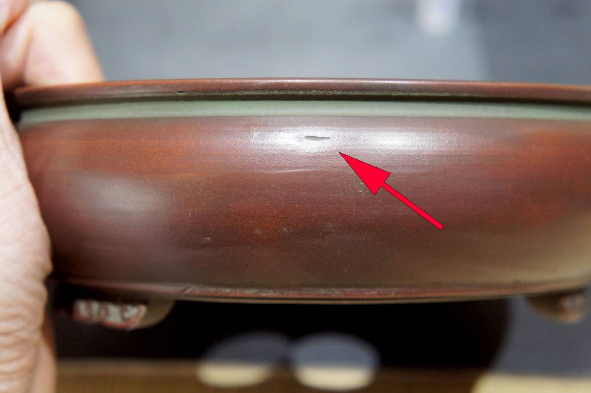 美芸 盆栽鉢 直径19cm 高さ6cm 【公式通販】
