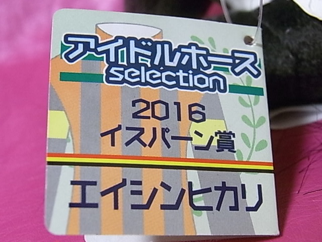 アイドルホース エイシンヒカリ ぬいぐるみ 2016 イスパーン賞 競馬 馬