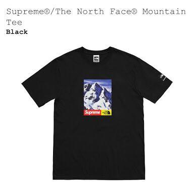 国内正規 Supreme THE NORTH FACE ノース mountain マウンテン tee Tシャツ バルトロ Baltoro parka box logo キムタク