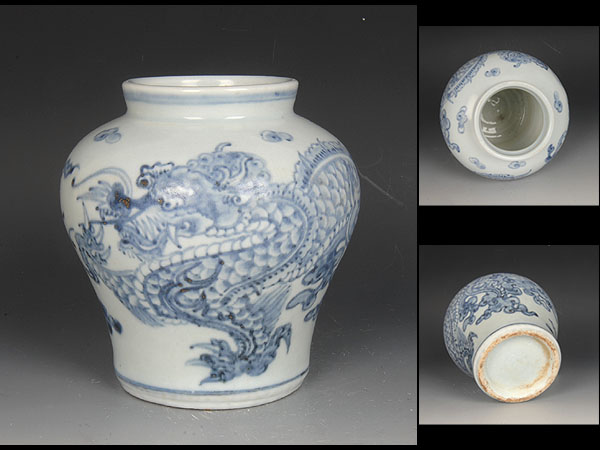 杜】 伊万里 金襴手 桜に天馬図 大なます皿 5客 AS3565 | TSUM1947.BY