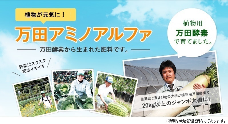 万田酵素アミノアルファ【量り売り】《100ｍｌ単位》№１　_2