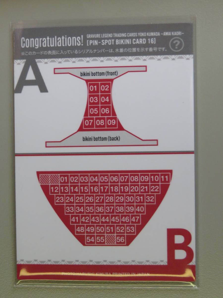HIT'S 熊田曜子 甘い香り PINSPO ピンスポ水着 PIN-SPOT BIKINI NO.16 44/B56