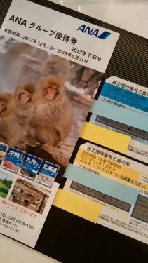 【送料無料】ANA株主優待券2枚☆グループ優待券_1