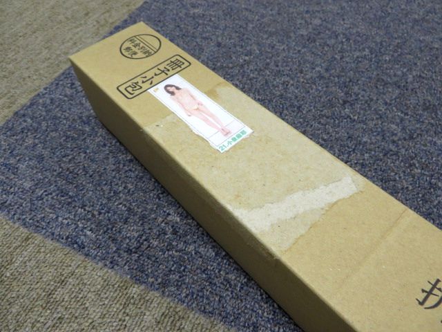 ☆21.小泉麻耶☆徳間書店 月刊アサヒ芸能エンタメ！編集部 等身大水着 