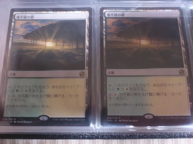 MTG 地平線の梢 日本語版 2枚まで 地平線の梢 | MTG Canopy
