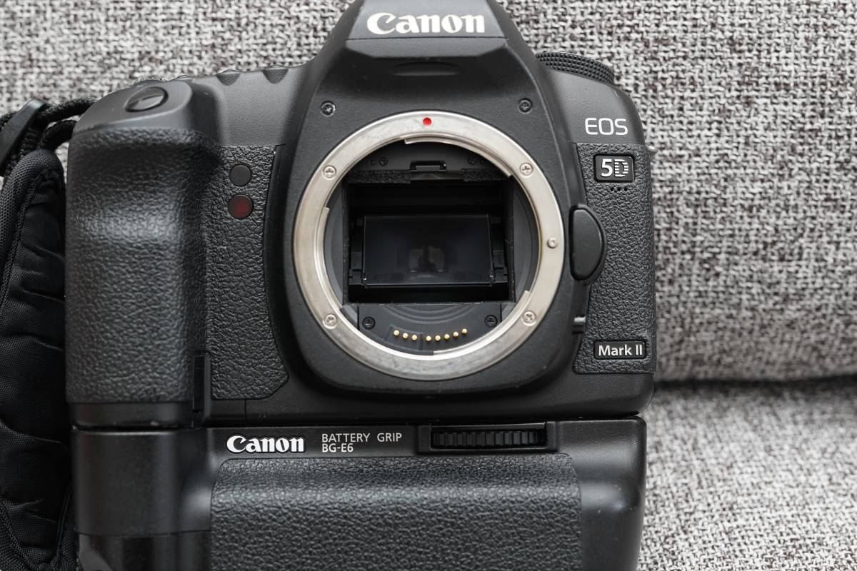 付属品多数】Canon EOS 5D Mark II ボディ（w/ バッテリーグリップ＋ 