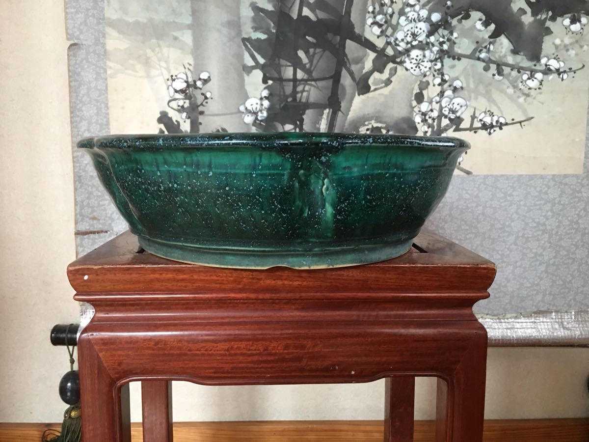 人気SALE，新品 秀峰 緑釉窯変外縁輪花鉢 巾307㎜ 釉薬窯変が綺麗 全国送料一律1000円(鉢)｜売買されたオークション情報、yahooの商品情報をアーカイブ公開 - オークファン 鉢
