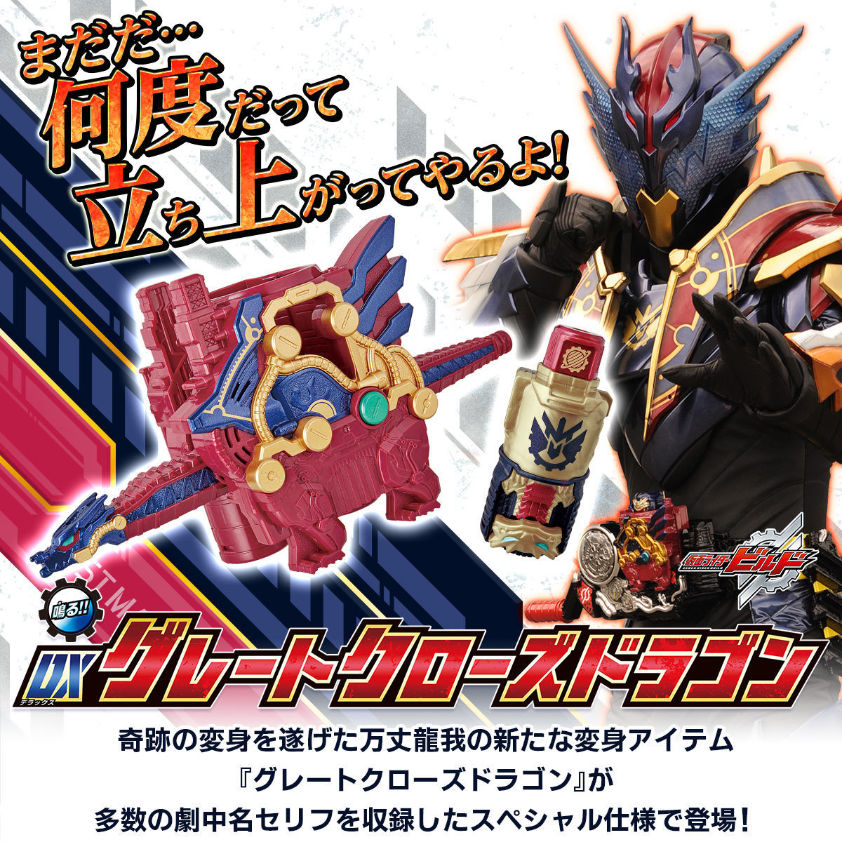 未開封☆プレミアムバンダイ限定☆DX 5大レジェンドライダーフルボトル