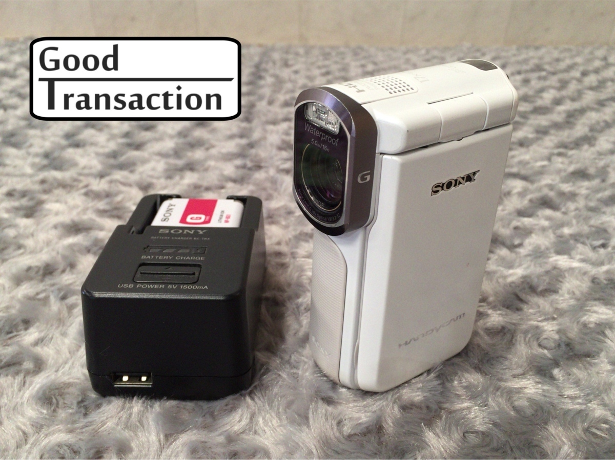 121K48●SONY ソニー HDR-GW77 ビデオカメラ