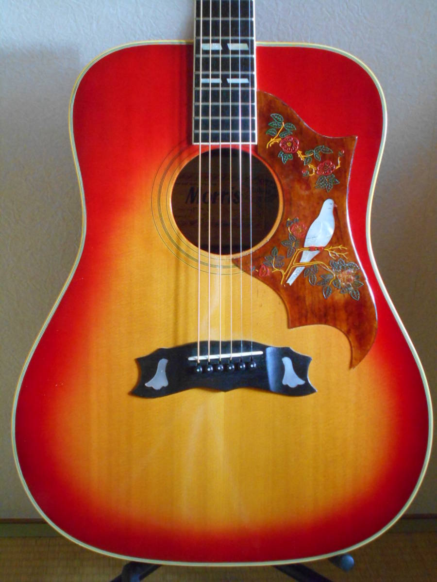 Morris WD-35 メイプル 彫込&貝ピックガード 牛骨パーツで完全調整済