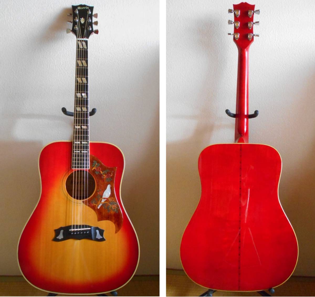 Morris WD-35 メイプル 彫込&貝ピックガード 牛骨パーツで完全調整済