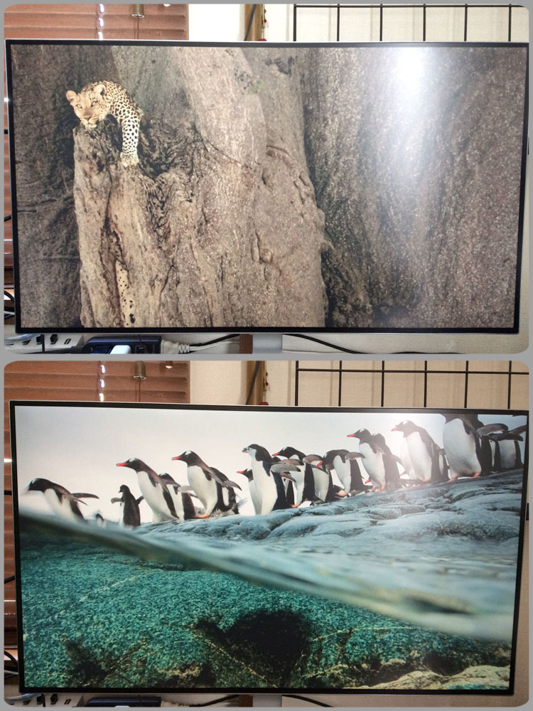 LG 27MP89HM-S モニター JP | 75Hz 【LG】 LG モニター ディスプレイ