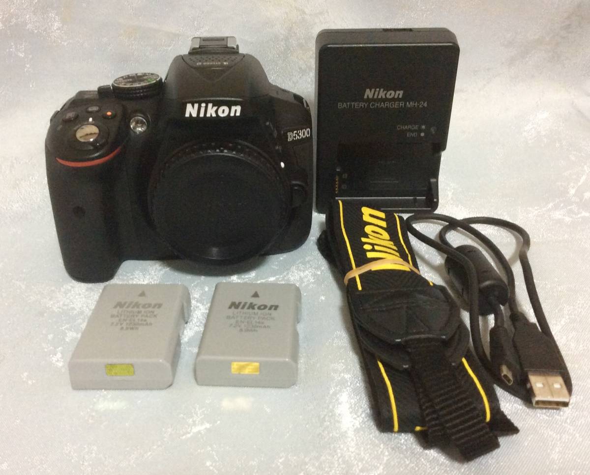 Nikon ニコン D5300 ボディ 動作確認済　保証書あり