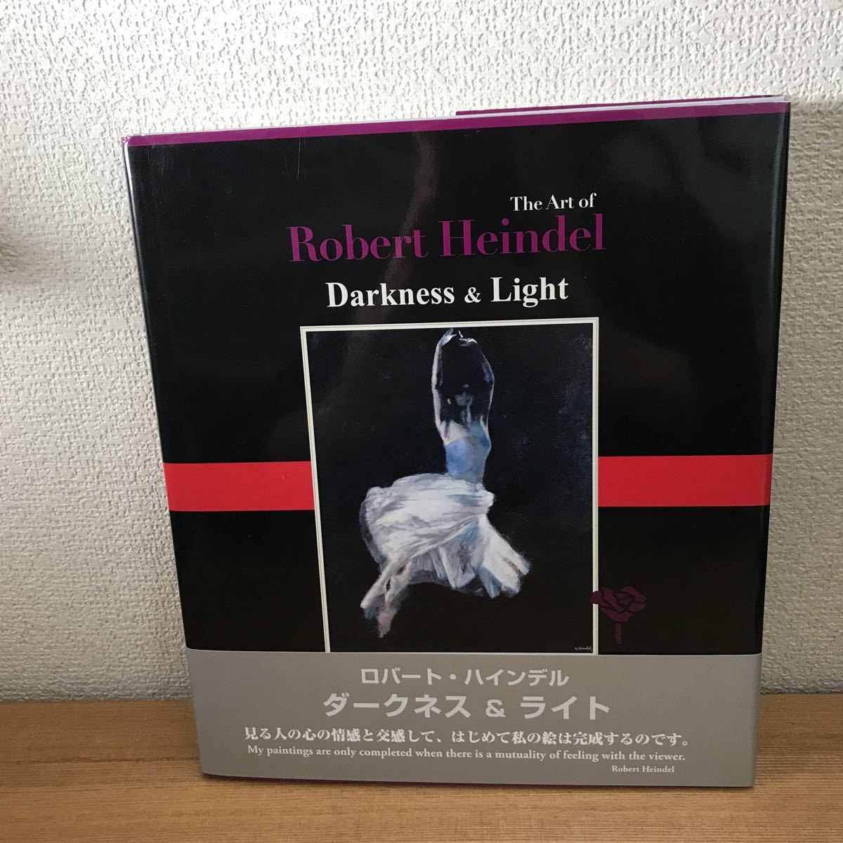 本 ロバート・ハインデル 画集 ダークネス&ライト