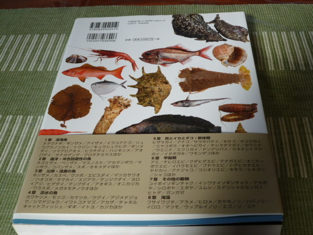 美味しいマイナー魚介図鑑 ぼうずコンニャク 藤原昌高 美味しい