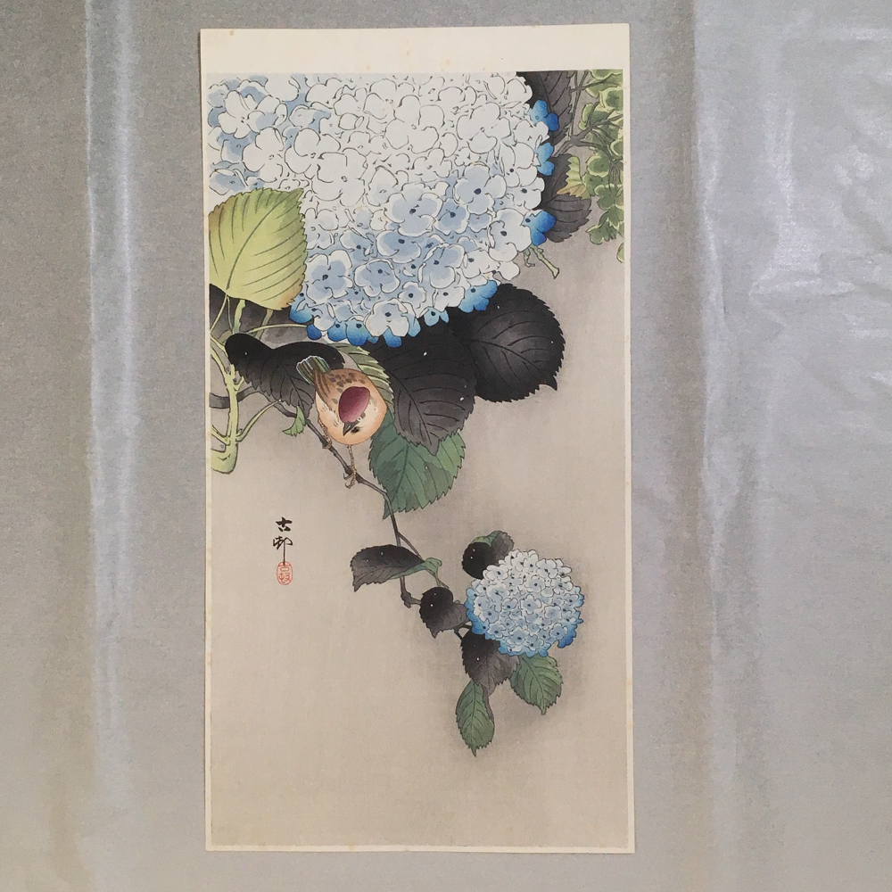 名作！！小原古邨 祥邨 紫陽花に雀 木版画 浮世絵 小原祥邨 川瀬巴水