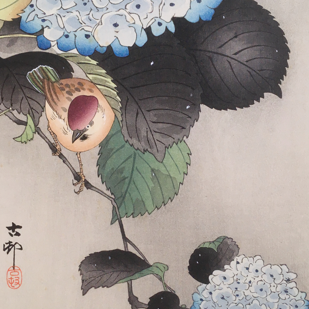 名作！！小原古邨 祥邨 紫陽花に雀 木版画 浮世絵 小原祥邨 川瀬巴水