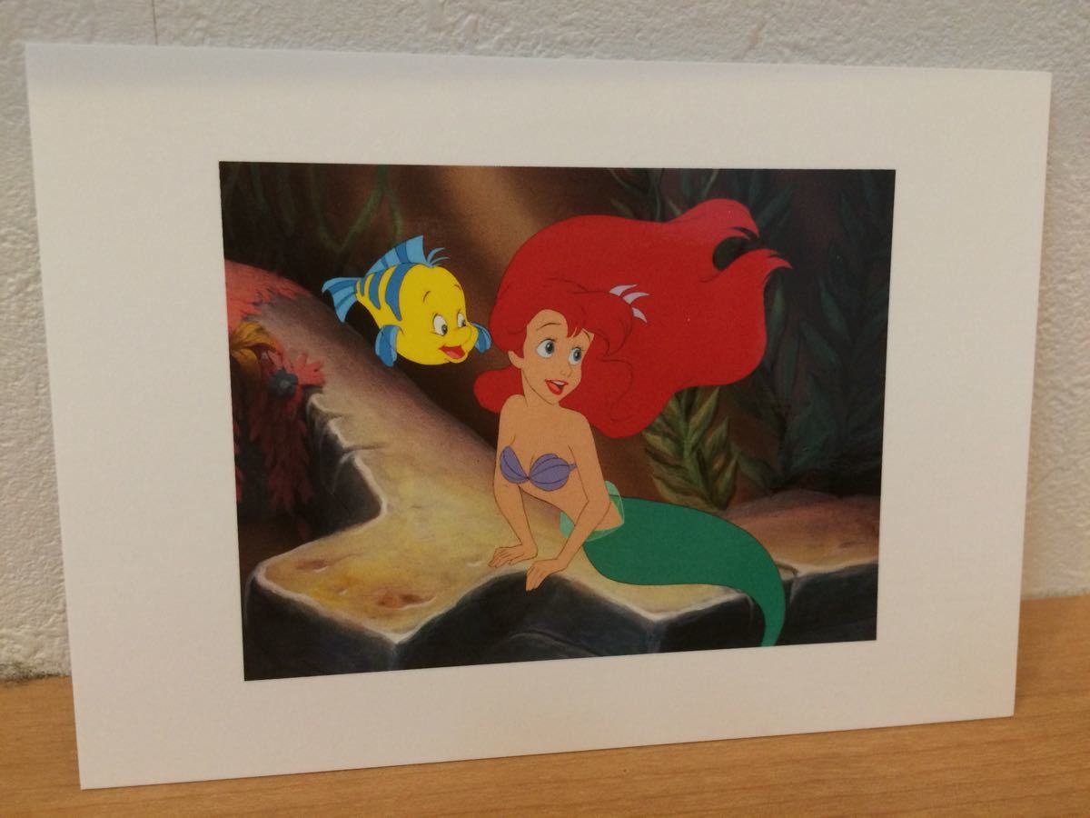 ディズニー リトルマーメイド アリエル フランダー ポストカード 原画風 送料1円 その他 売買されたオークション情報 Yahooの商品情報をアーカイブ公開 オークファン Aucfan Com
