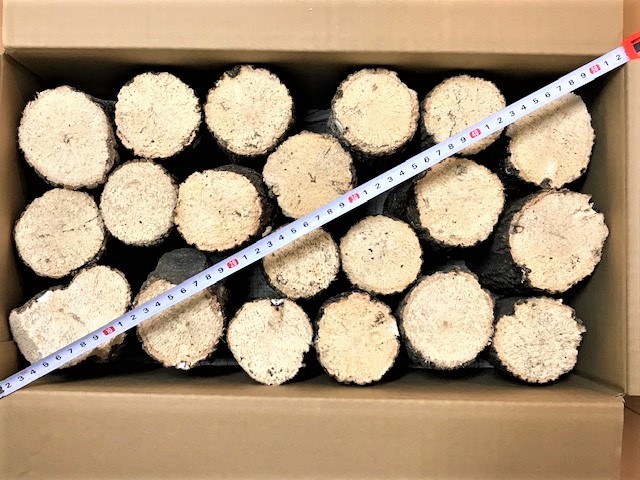 送料無料！80リットル 幼虫が巨大化！ヒマラヤひらたけ発酵カブトムシ