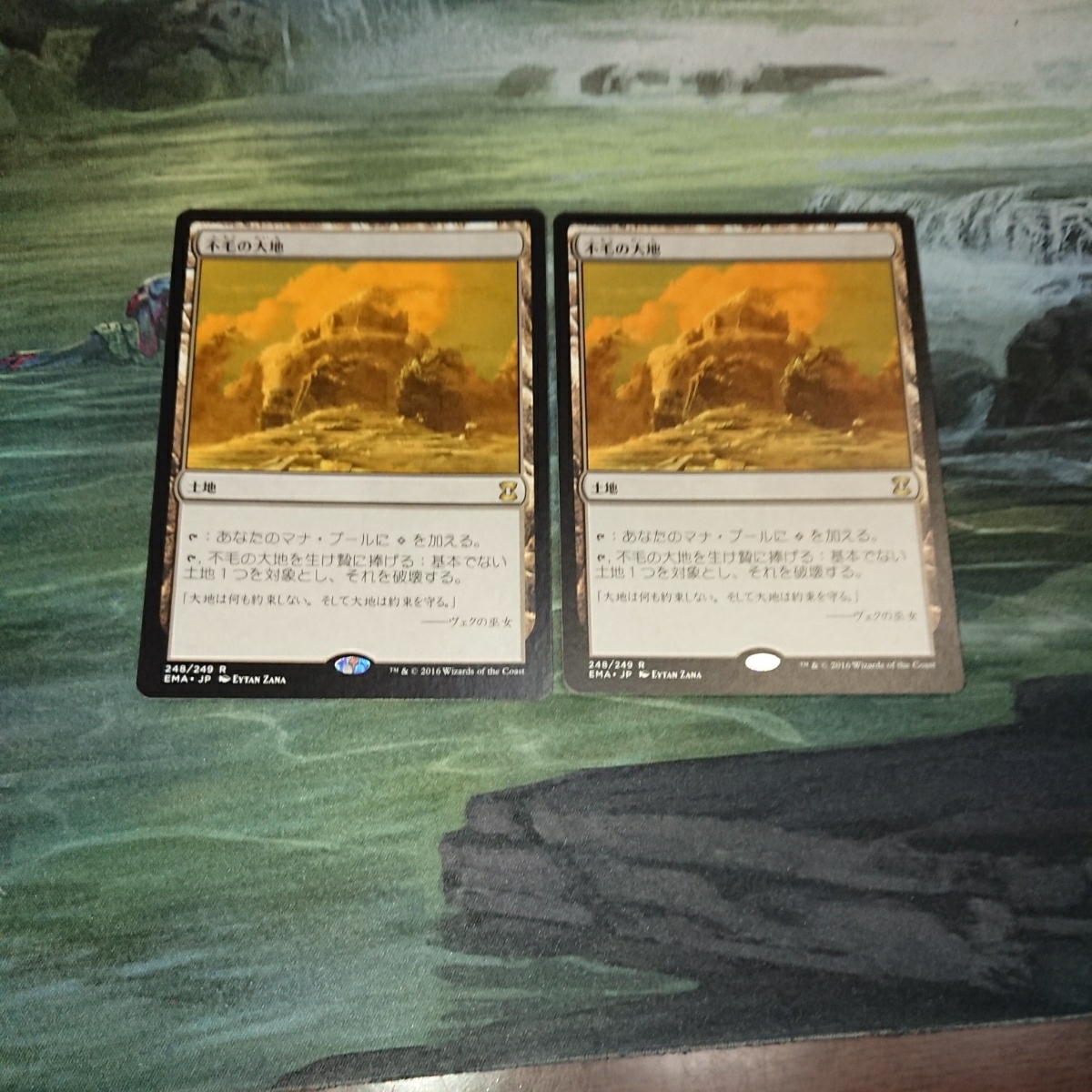 不毛の大地 日本語版2枚セット 不毛の大地 日本語 MTG 日本