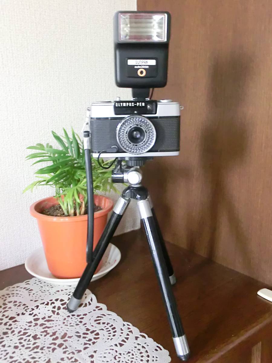 フィルムカメラ:オリンパスペンEE-2　ストロボ:サンパックauto20SR　三脚:キング_5