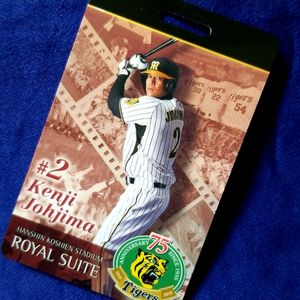 BBM 2010 阪神タイガース 城島健司 ユニフォームカード ソフトバンク