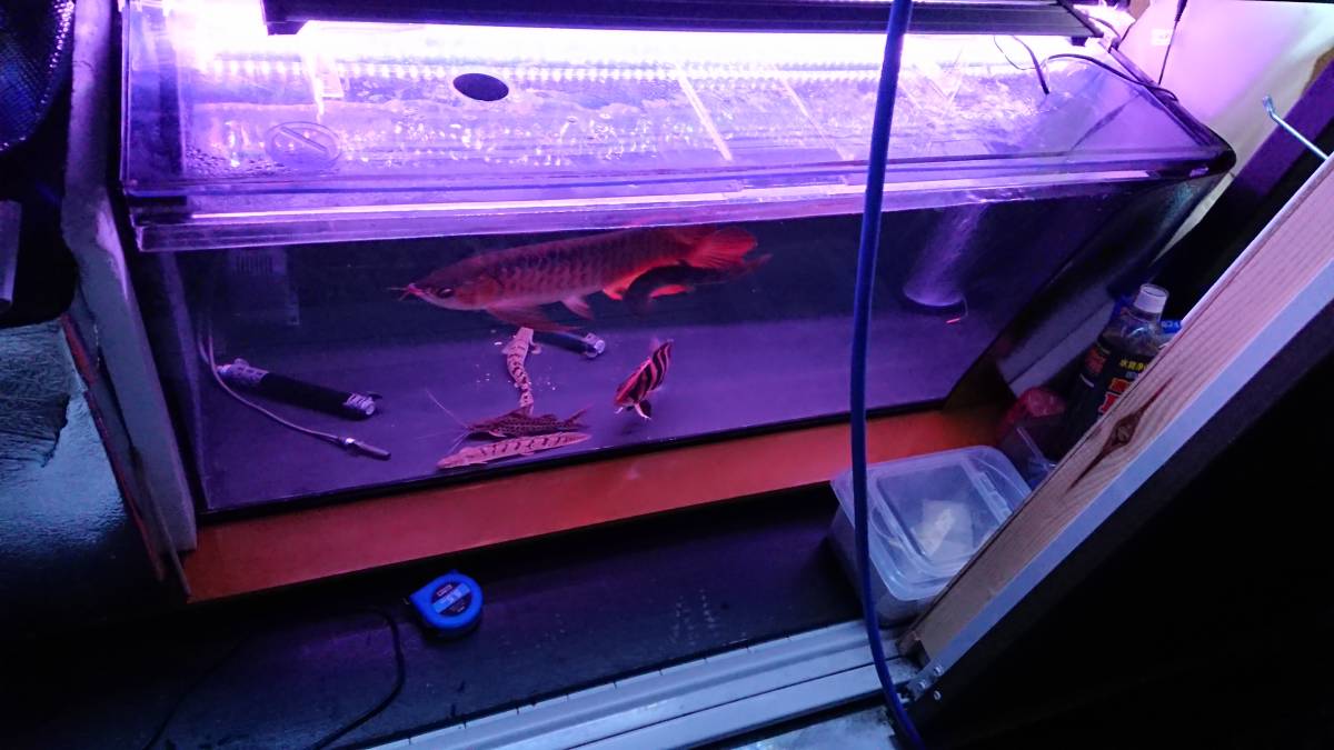 水槽 120cm アクリルの通販 Yahoo 熱帯魚のmishima 黒の通販 120cm水槽