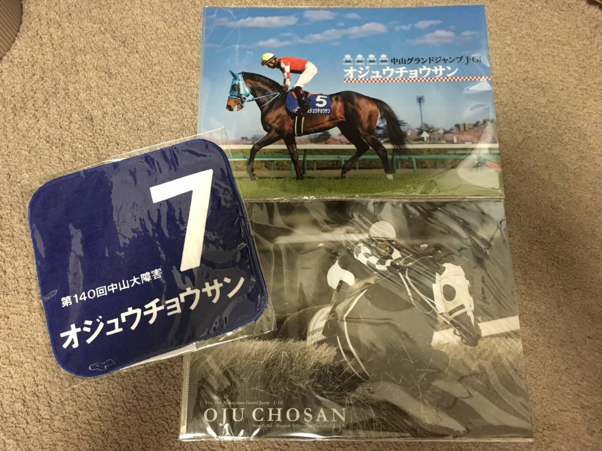 オジュウチョウサン★ハンドタオル&クリアファイル2枚セット JRA来場ポイントキャンペーン★武豊 石神深一 中山大障害_1