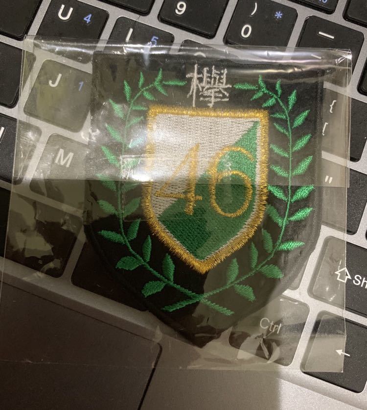 欅坂46 ロゴ ワッペン アイロン 平手友梨奈 菅井友香 長濱ねる 今泉佑唯_1