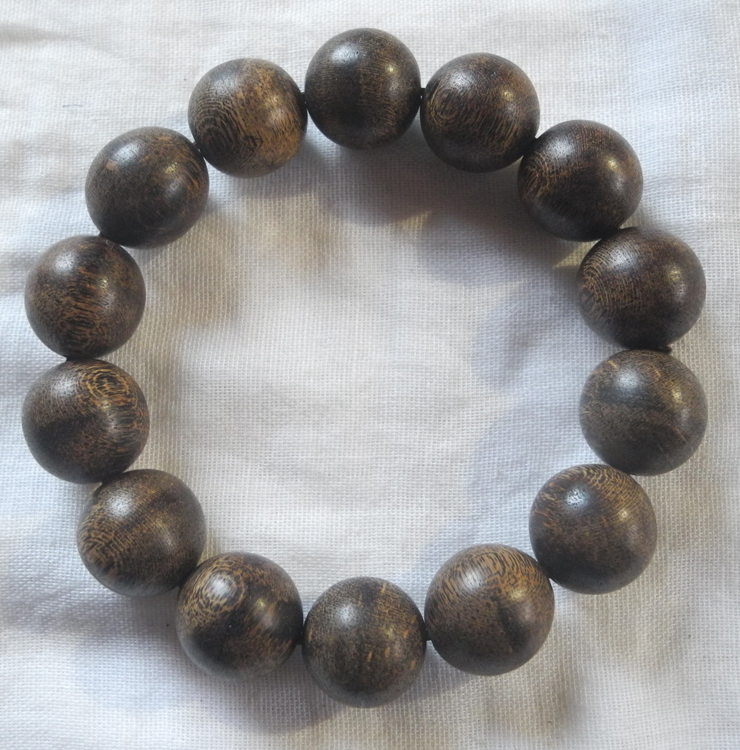 m464589605.1
