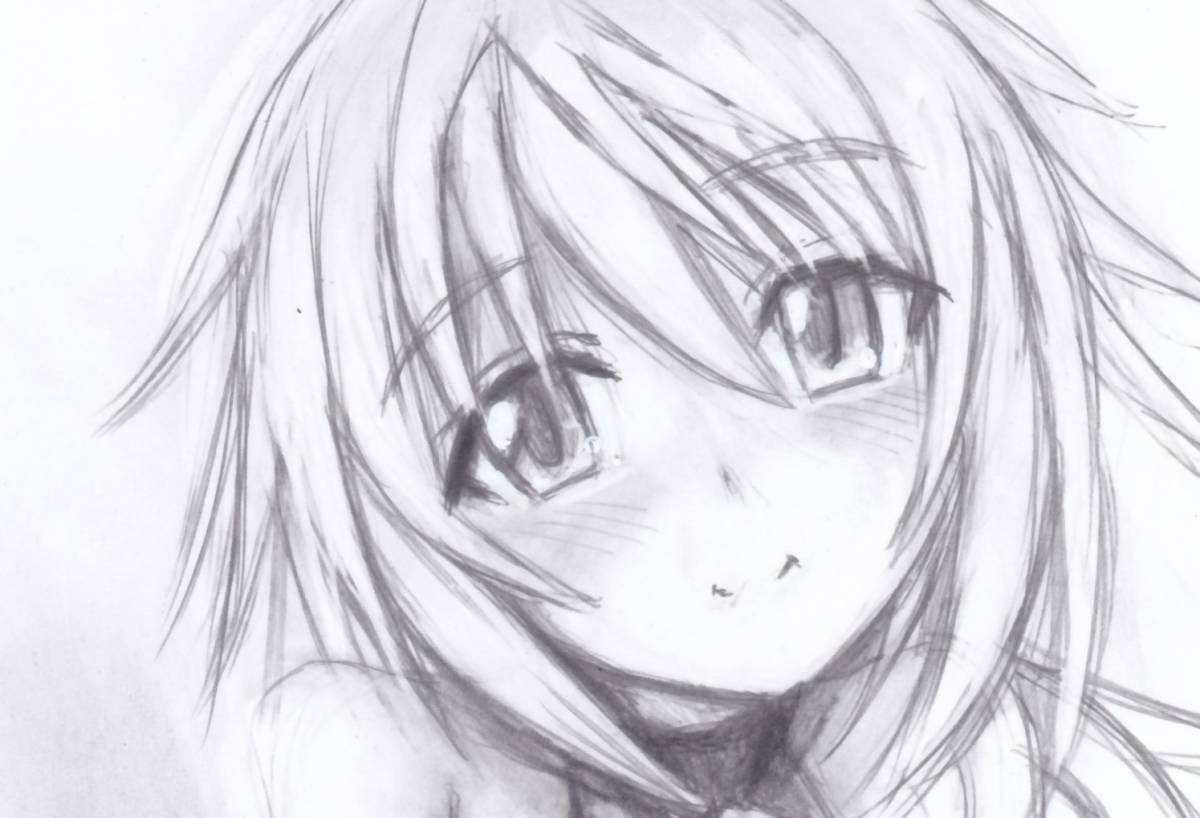 インフィニット ストラトス シャルル デュノア 鉛筆画 ラミネ加工 手描きイラスト 売買されたオークション情報 Yahooの商品情報をアーカイブ公開 オークファン Aucfan Com