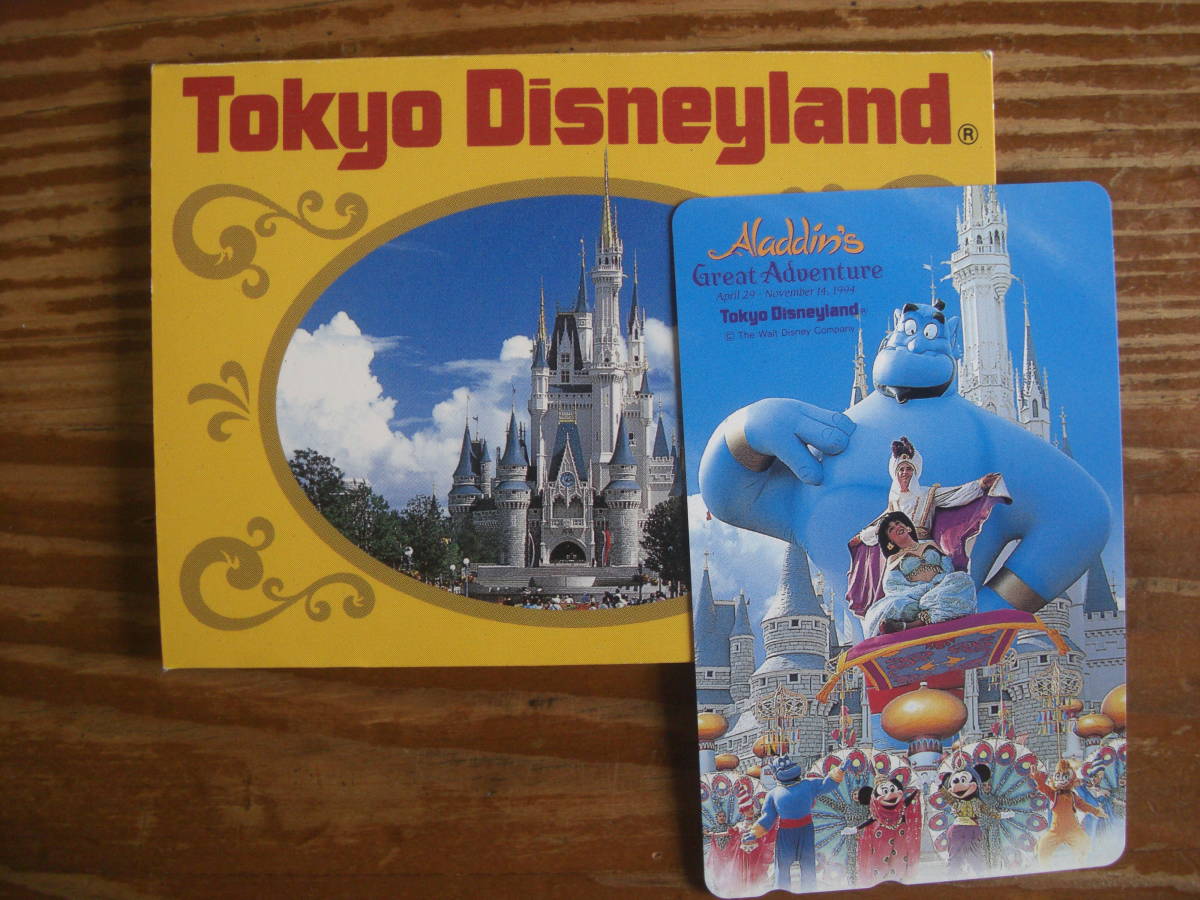 貴重ディズニーTDS 10周年ガラス製フォトフレームミッキーミニー