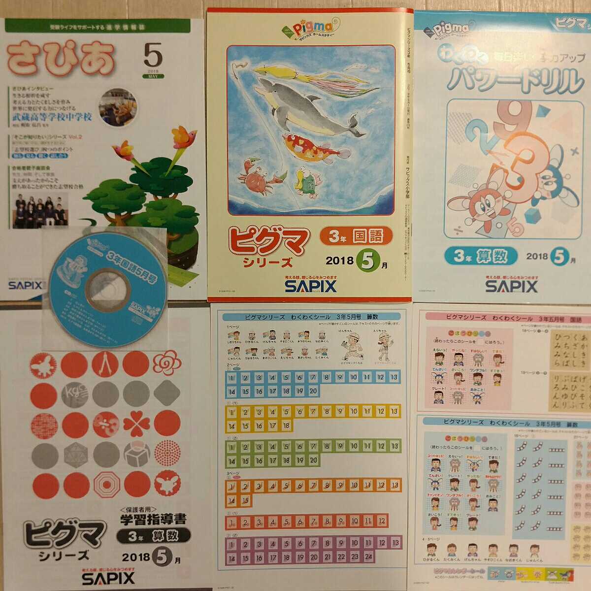 ピグマ 2年生 サピックスSAPIX 1年分 2年生 SAPIX サピックス ピグマ