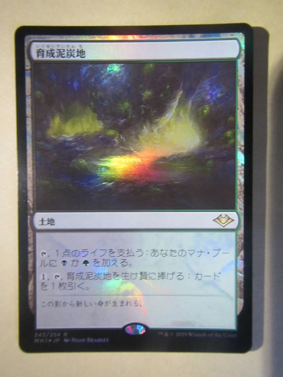 限定価格セール！ MTG 日本語 育成泥炭地 foil モダンホライゾン Foil