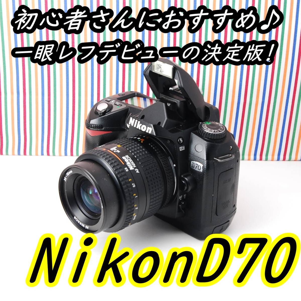 D70 Nikon 初心者さんにおすすめ ☆ 初心者さんにおすすめ♪ 一眼レフ