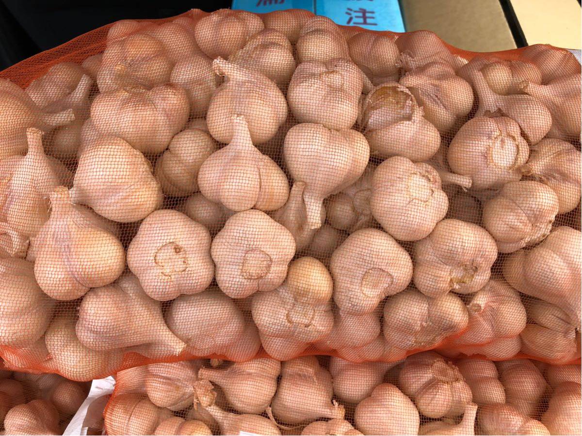 豊富な，セール 青森県産 福地 SからMくらいホワイトにんにく10キロ(にんにく)｜売買されたオークション情報、yahooの商品情報をアーカイブ公開 - オークファン にんにく