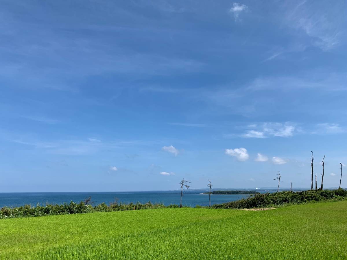 高品質，人気SALE 令和元年米/石川県能登産こしひかり/精米２０kg（玄米可）世界農業遺産認定地域/送料無料！(8)