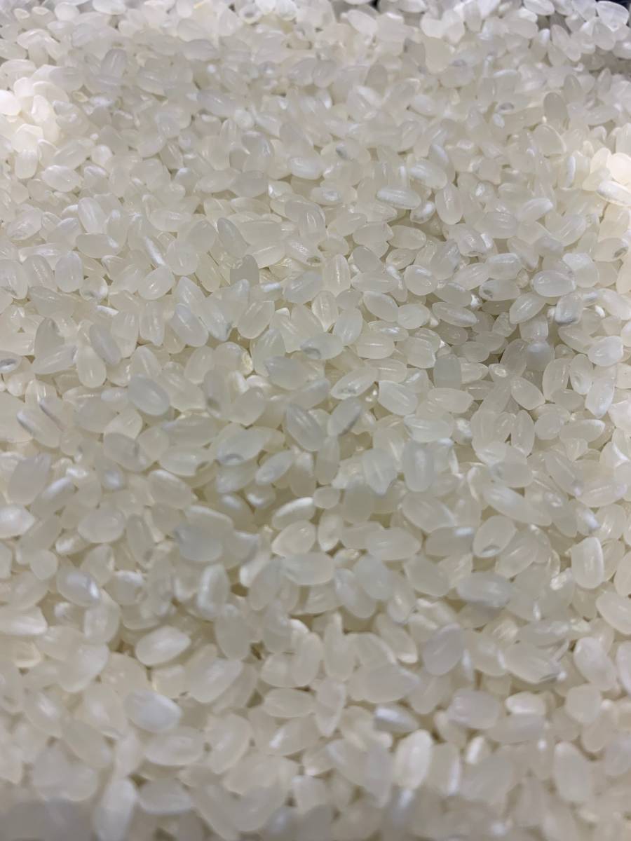 高品質，人気SALE 令和元年米/石川県能登産こしひかり/精米２０kg（玄米可）世界農業遺産認定地域/送料無料！(8)